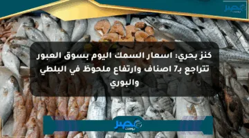 كنز بحري: أسعار السمك اليوم بسوق العبور تتراجع بـ7 أصناف وارتفاع ملحوظ في البلطي والبوري